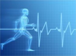 interval training cardio workout videos
